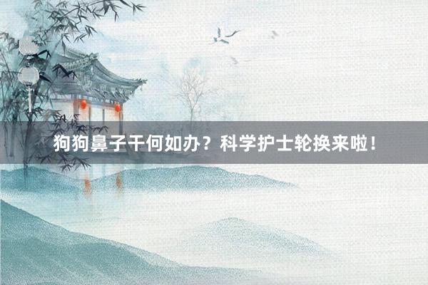 狗狗鼻子干何如办？科学护士轮换来啦！