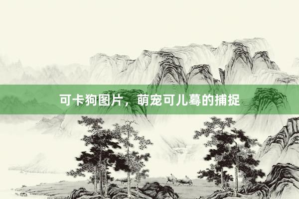 可卡狗图片，萌宠可儿蓦的捕捉